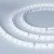 46c29725b2e1a8e275701cc17ca1cc29